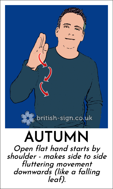 Autumn: Open flat hand starts by shoulder - makes side to side fluttering movement downwards (like a falling leaf).